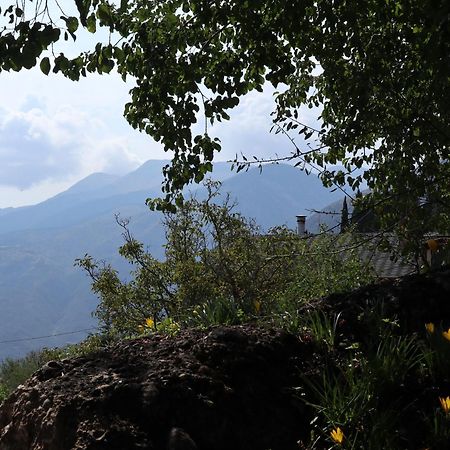 Μικρή Ζήρεια Ενοικιαζόμενη Κατοικία Synikia Mesi Trikalon Dış mekan fotoğraf