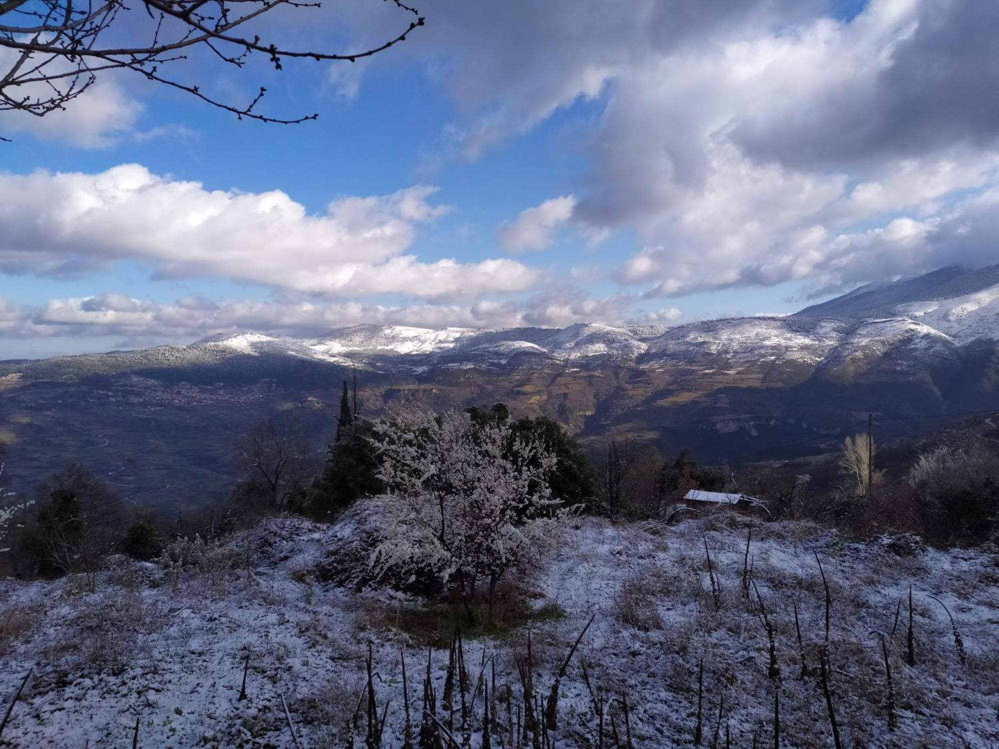 Μικρή Ζήρεια Ενοικιαζόμενη Κατοικία Synikia Mesi Trikalon Dış mekan fotoğraf