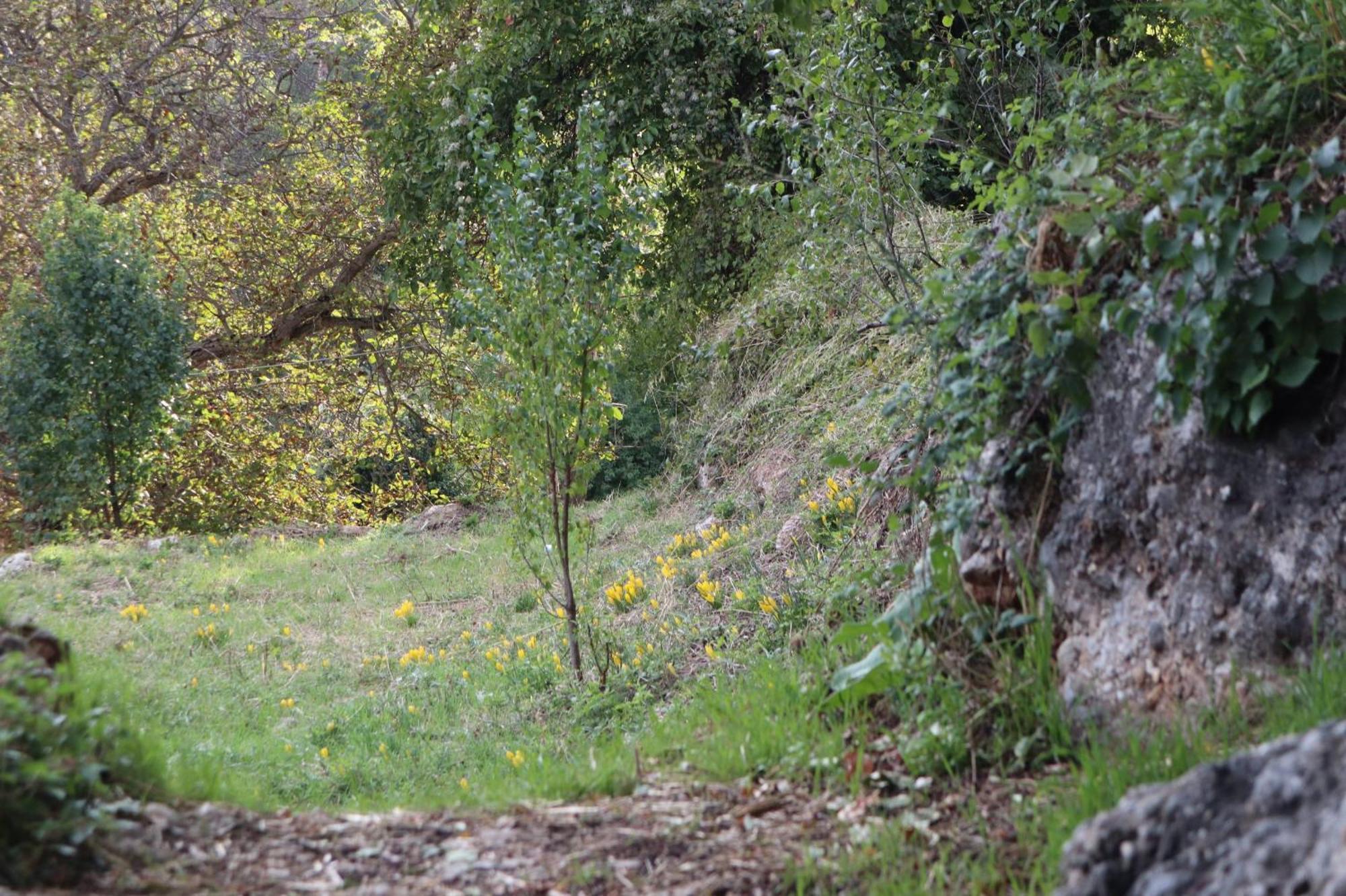 Μικρή Ζήρεια Ενοικιαζόμενη Κατοικία Synikia Mesi Trikalon Dış mekan fotoğraf