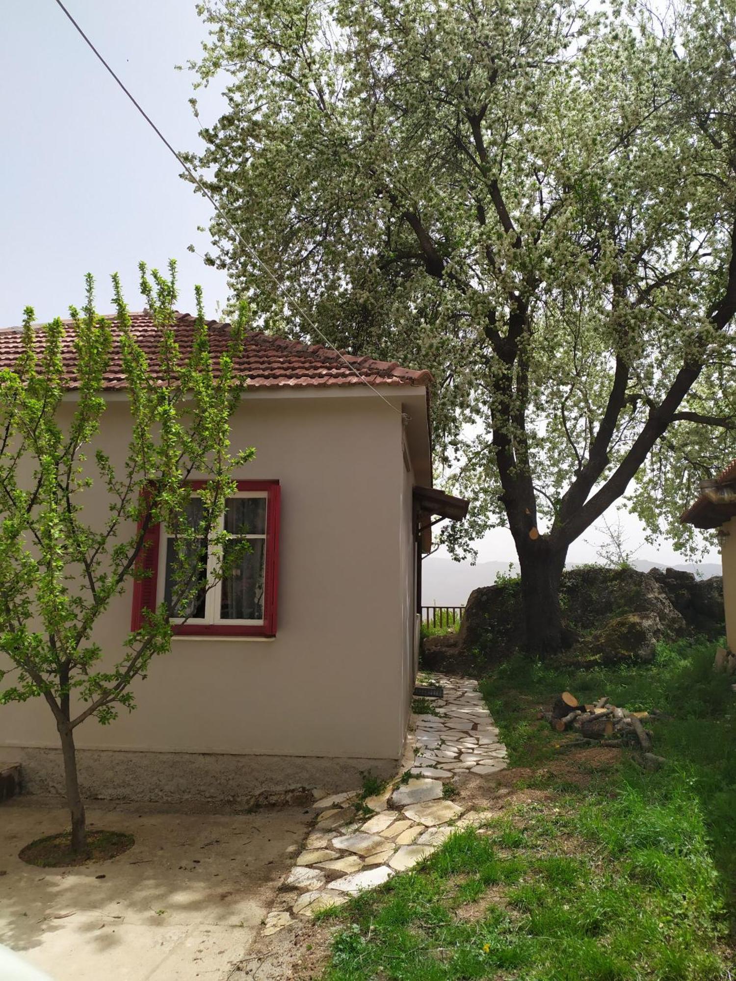 Μικρή Ζήρεια Ενοικιαζόμενη Κατοικία Synikia Mesi Trikalon Dış mekan fotoğraf